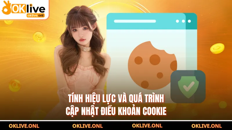 Tính hiệu lực và quá trình cập nhật điều khoản cookie